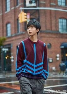 王俊凯最新爆料娱乐,幕后故事与成长点滴  第2张